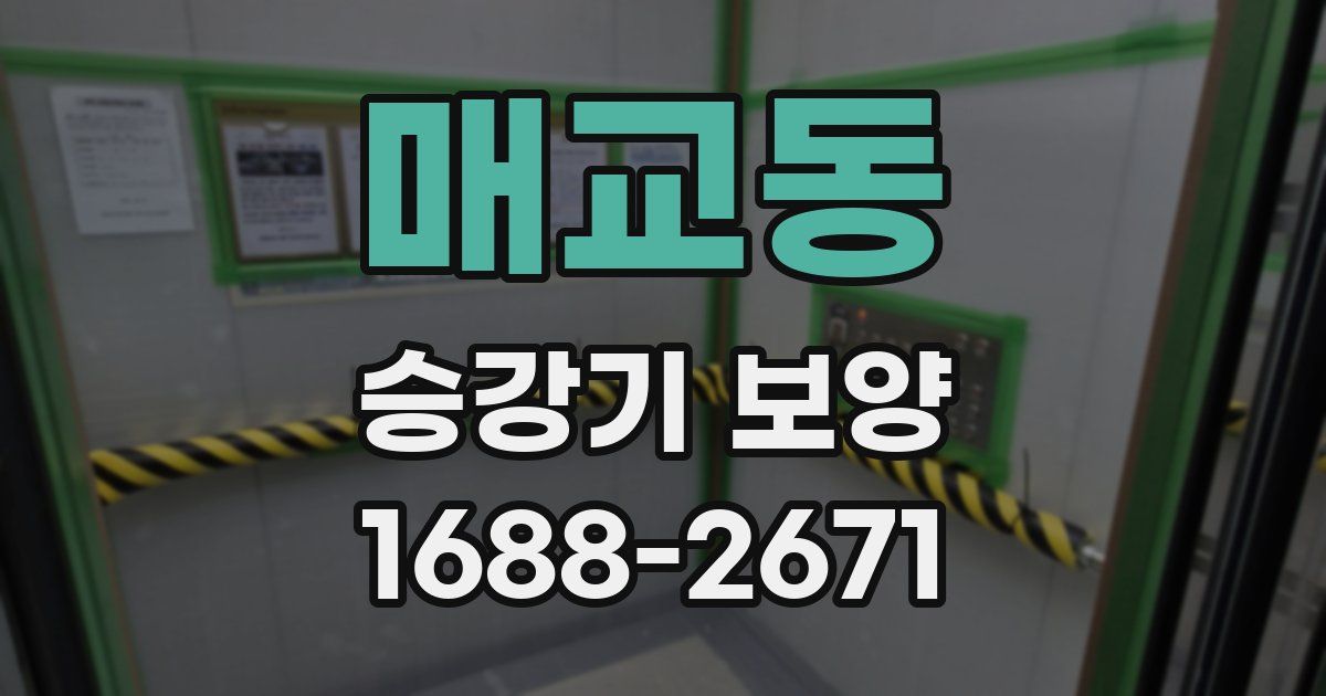 매교동 승강기 보양