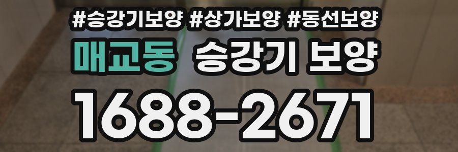 매교동 승강기 보양