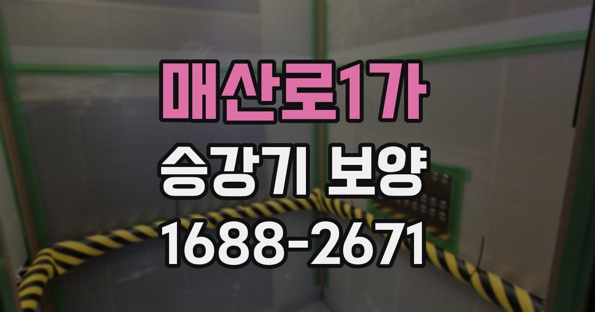 매산로1가 승강기 보양