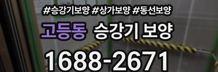 고등동 승강기 보양