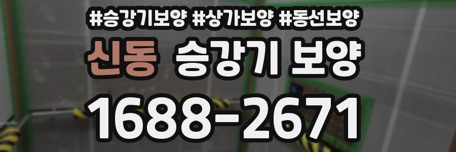 신동 승강기 보양