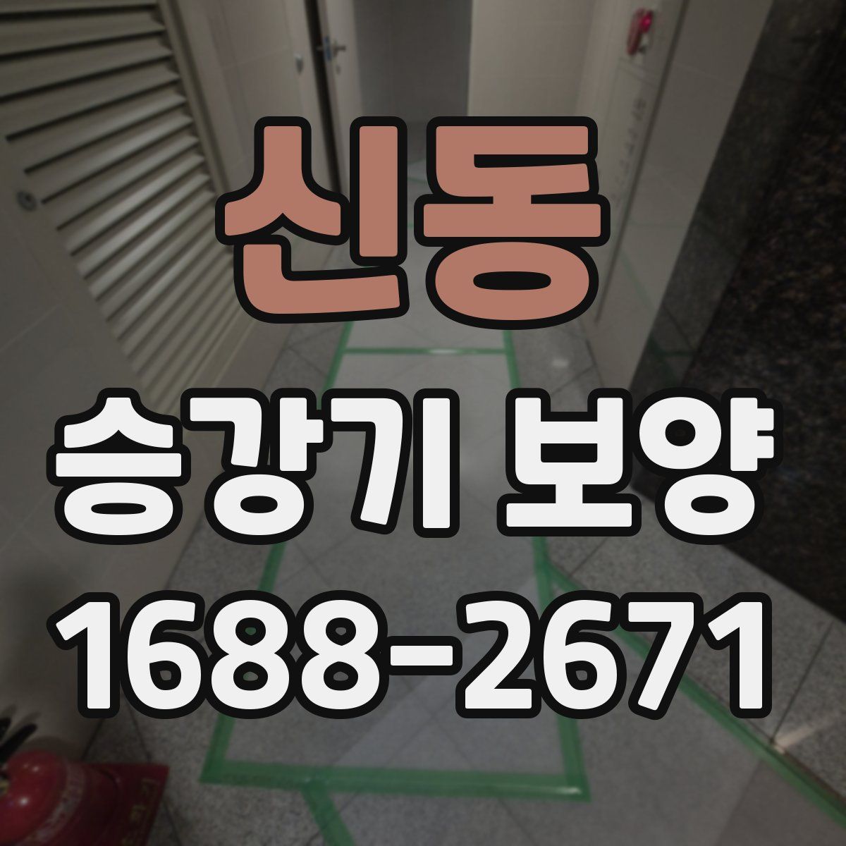 신동 승강기 보양