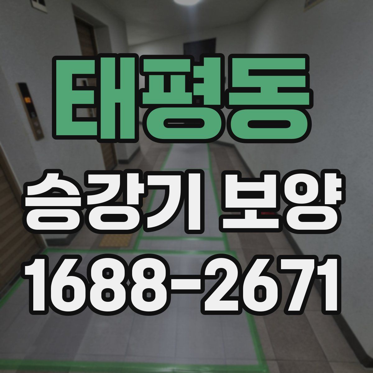 태평동 승강기 보양