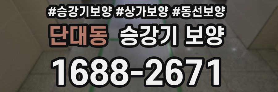 단대동 승강기 보양