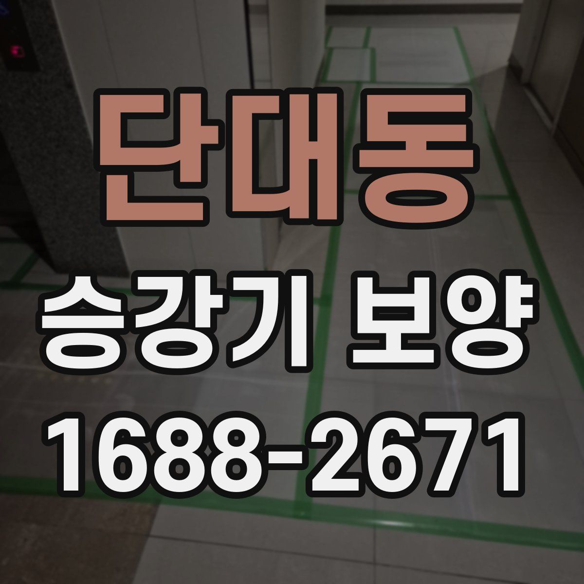 단대동 승강기 보양