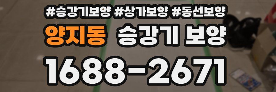 양지동 승강기 보양