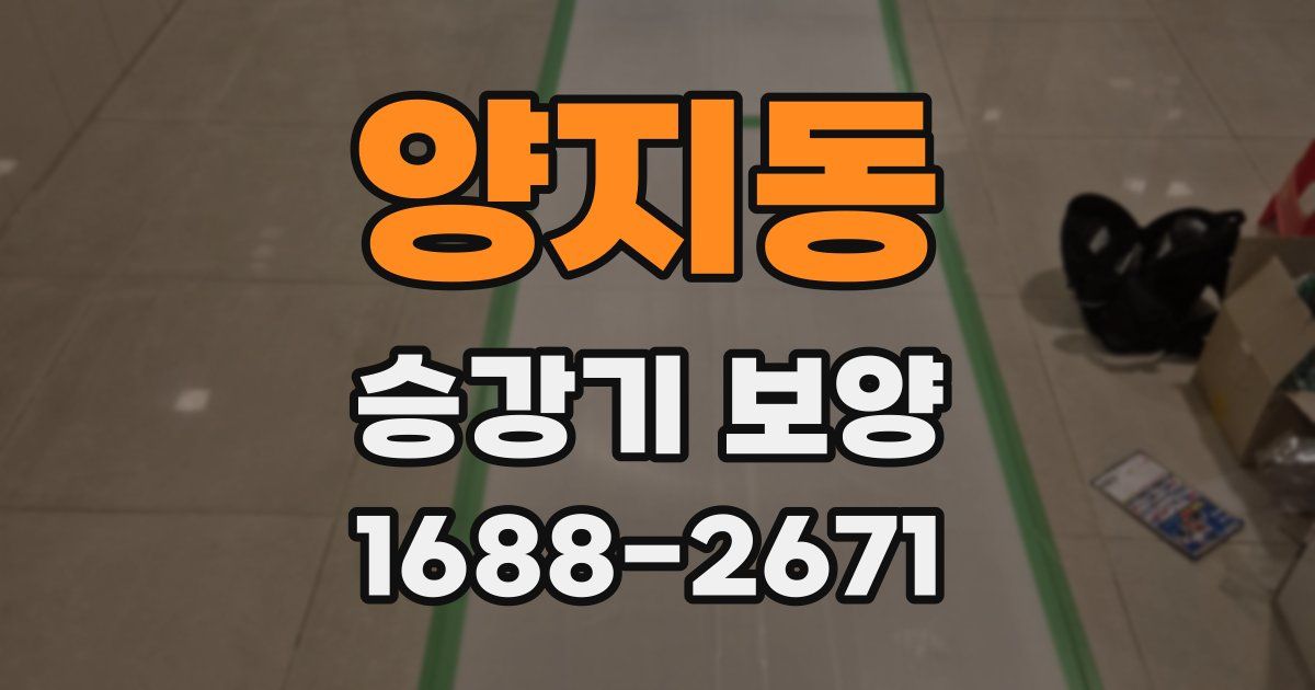 양지동 승강기 보양