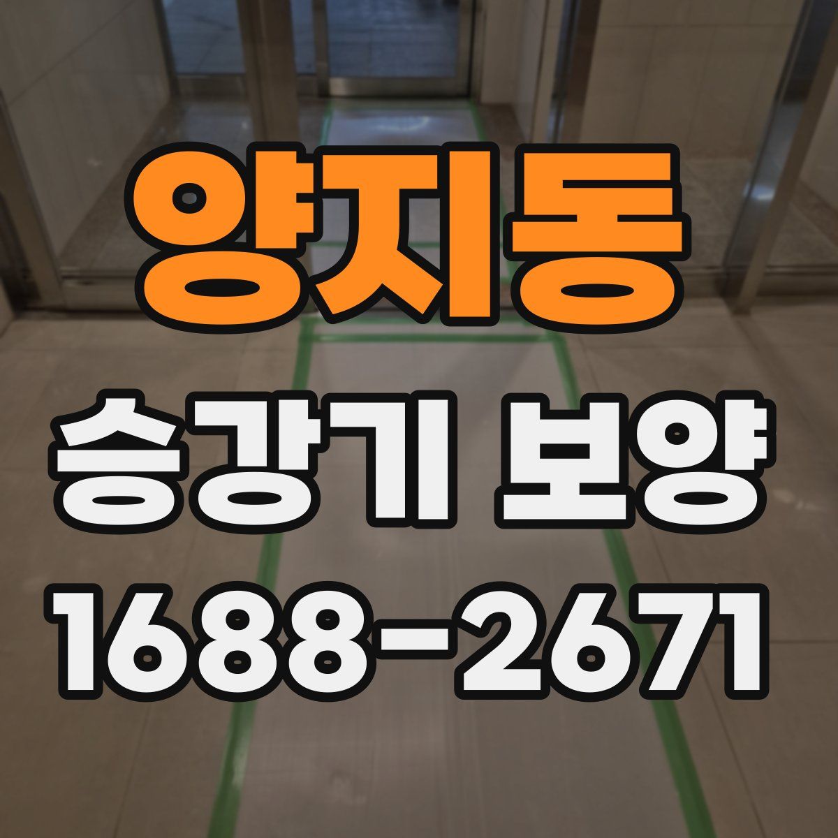 양지동 승강기 보양