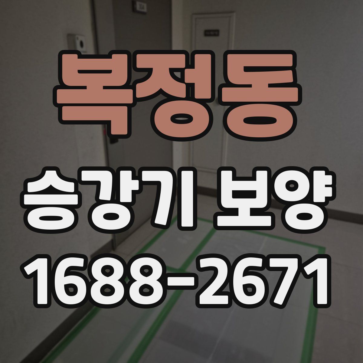 복정동 승강기 보양