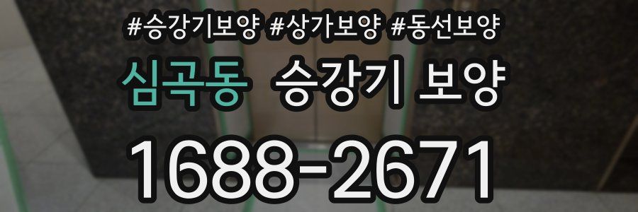 심곡동 승강기 보양