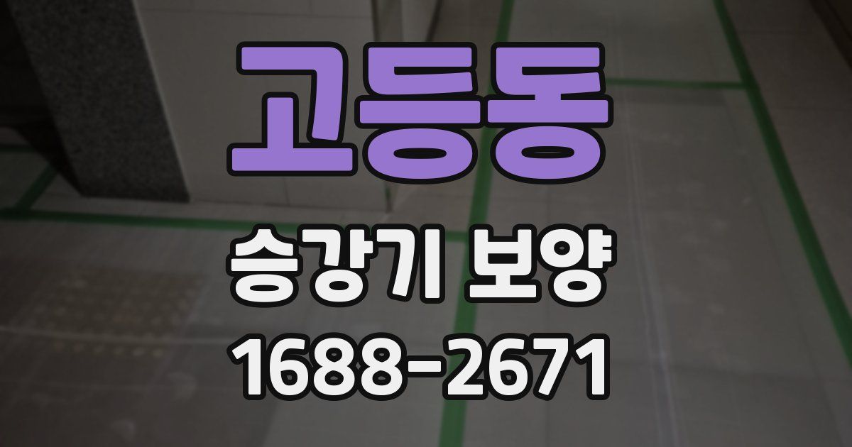 고등동 승강기 보양