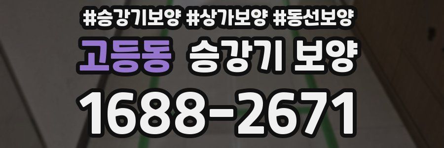 고등동 승강기 보양