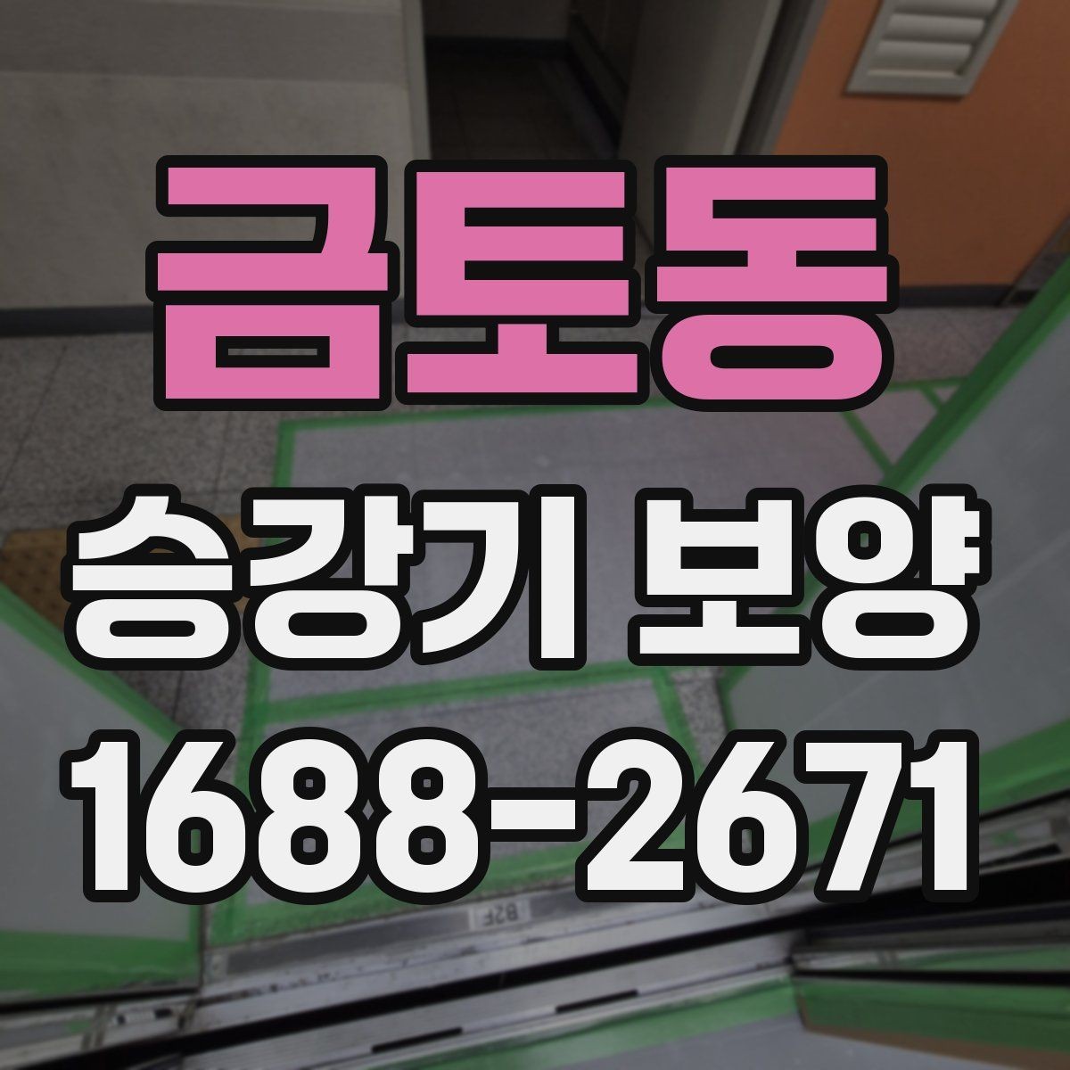금토동 승강기 보양 비용 산정에 영향을 주는 요소