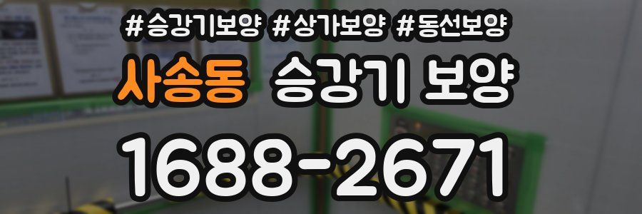사송동 승강기 보양