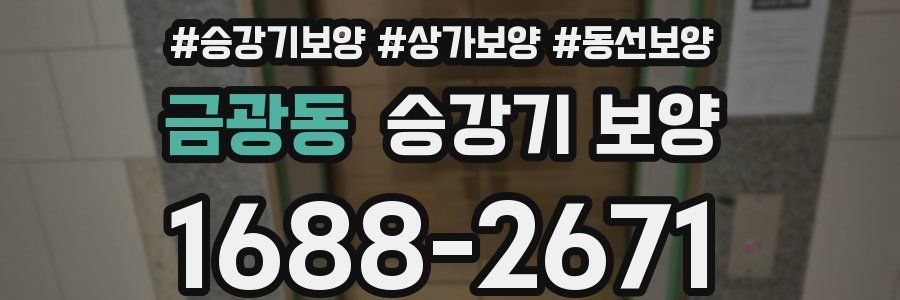 금광동 승강기 보양