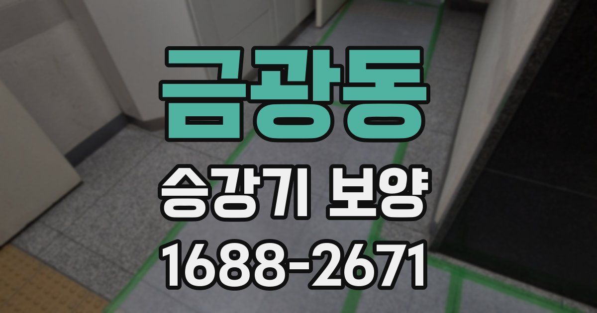 금광동 승강기 보양