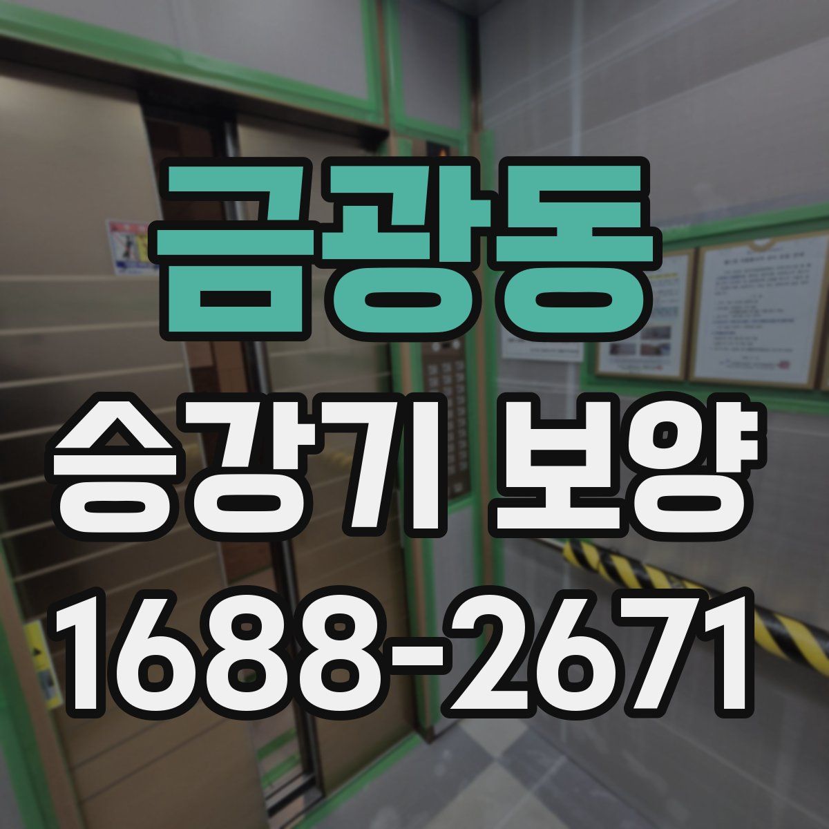 금광동 승강기 보양