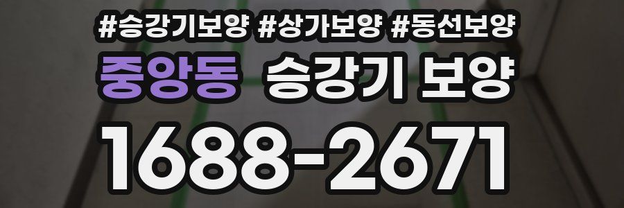 중앙동 승강기 보양