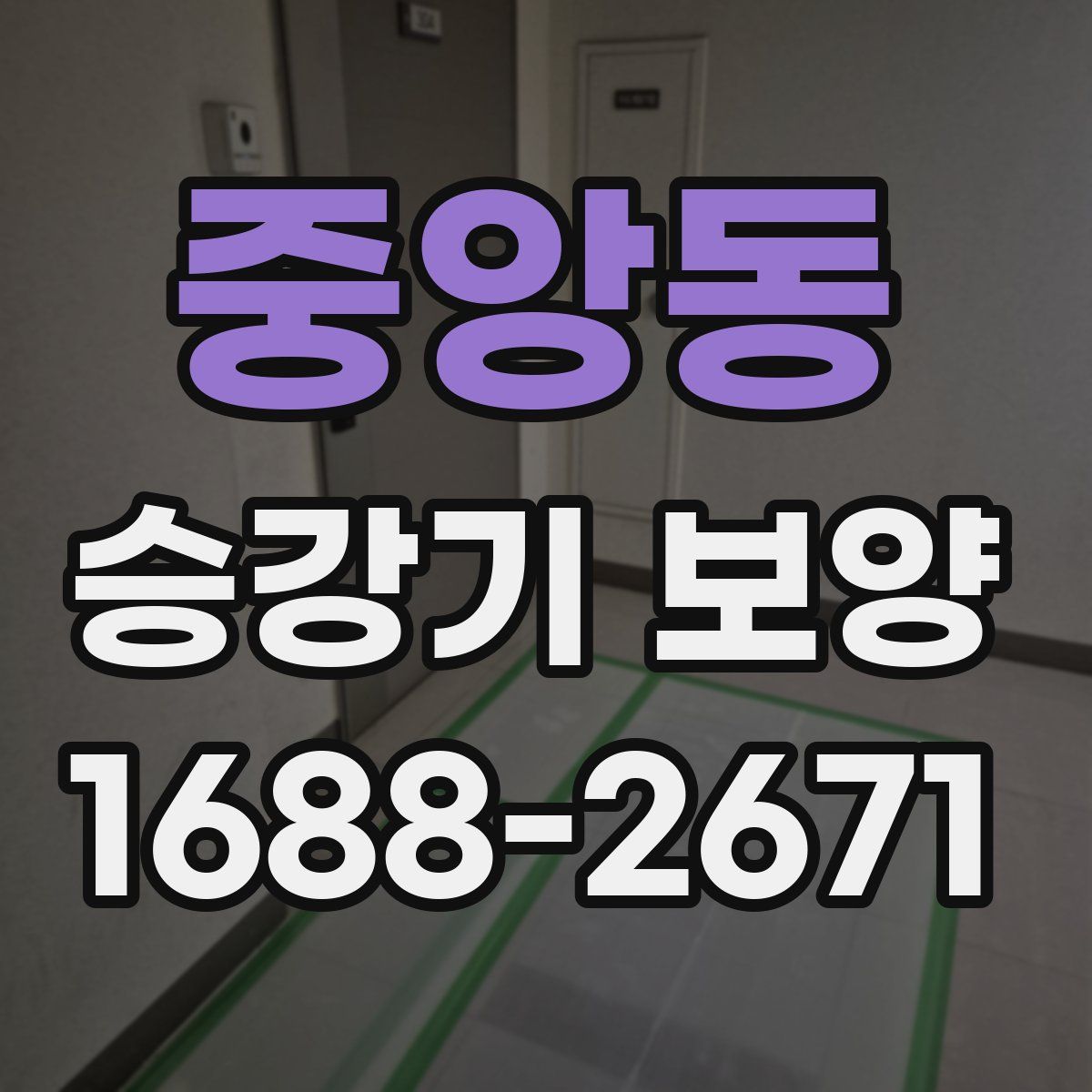 중앙동 승강기 보양
