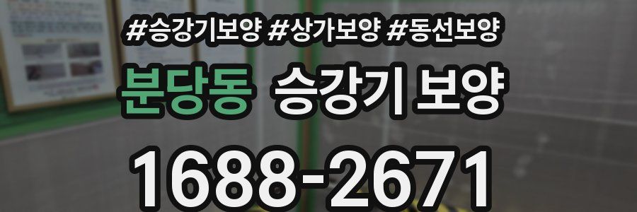 분당동 승강기 보양