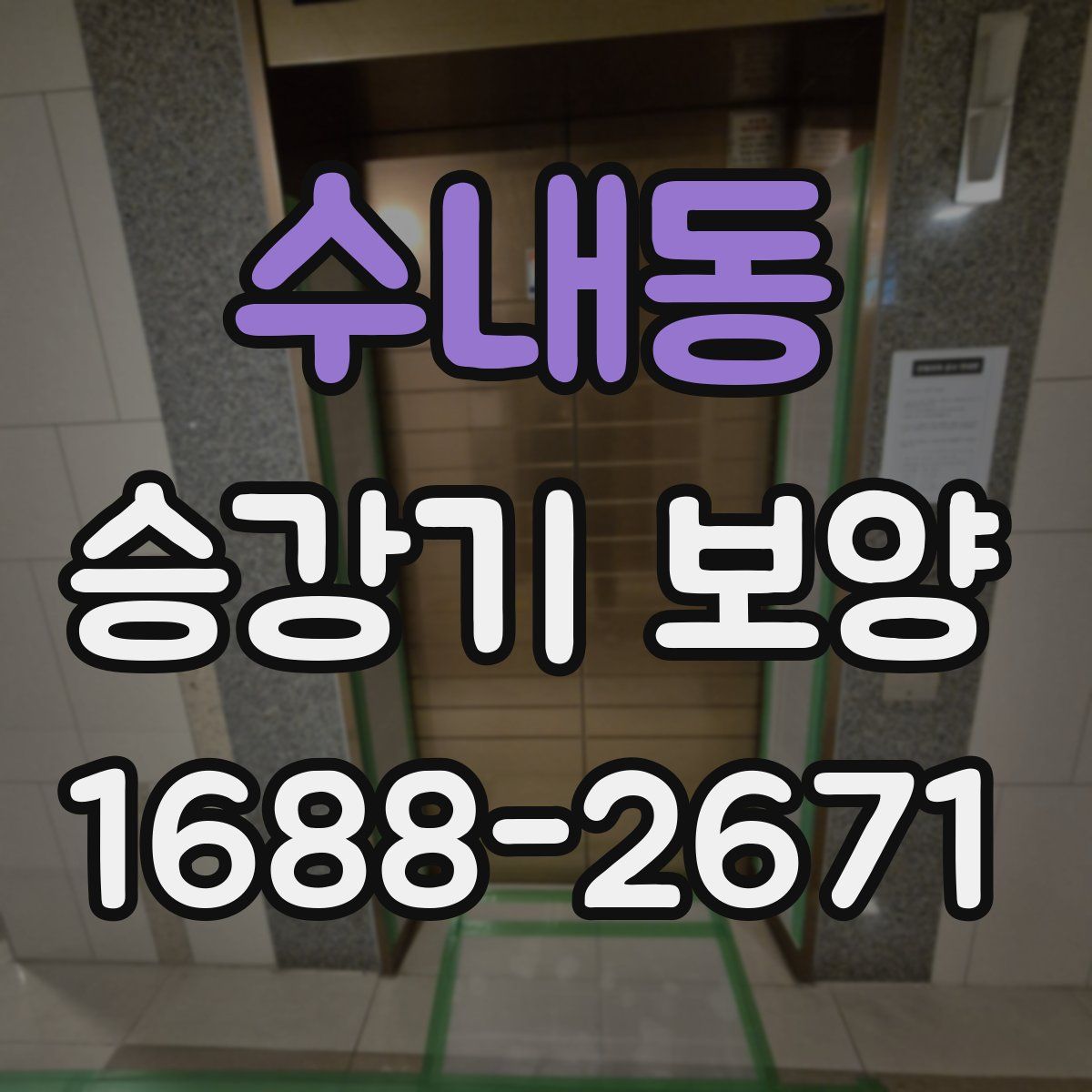 수내동 승강기 보양