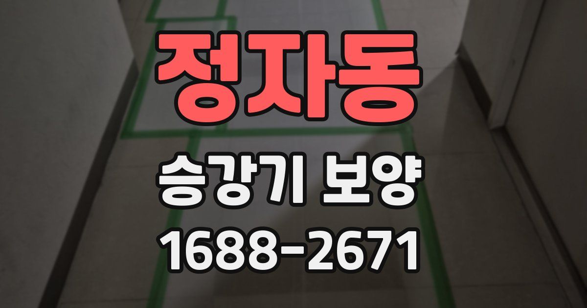 정자동 승강기 보양