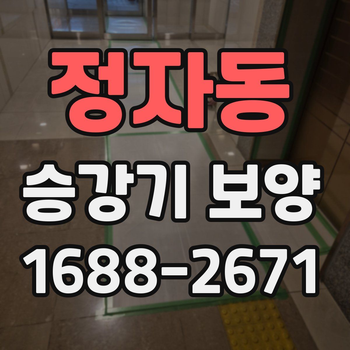 정자동 승강기 보양