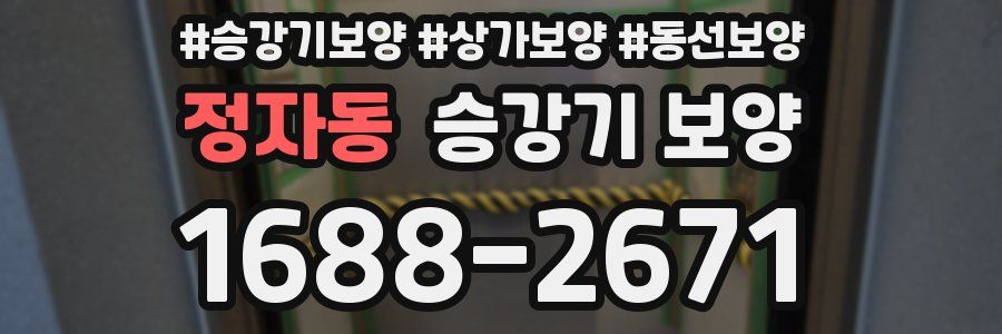 정자동 승강기 보양