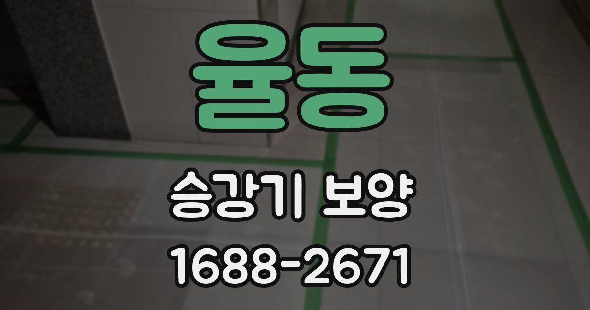 율동 승강기 보양