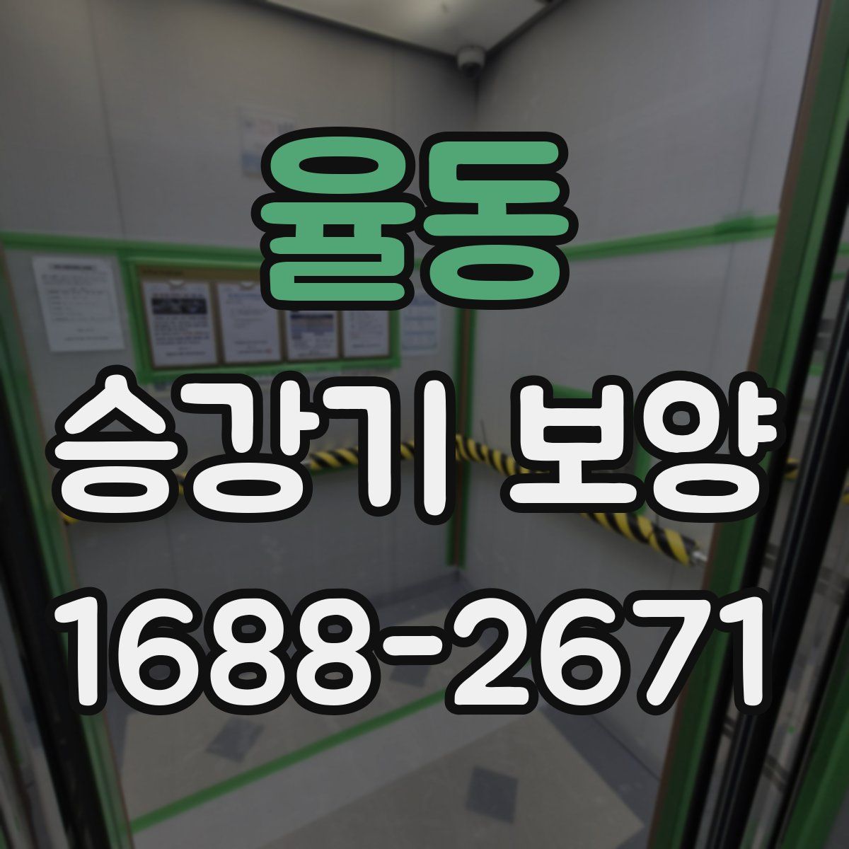 율동 승강기 보양