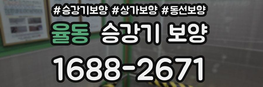 율동 승강기 보양