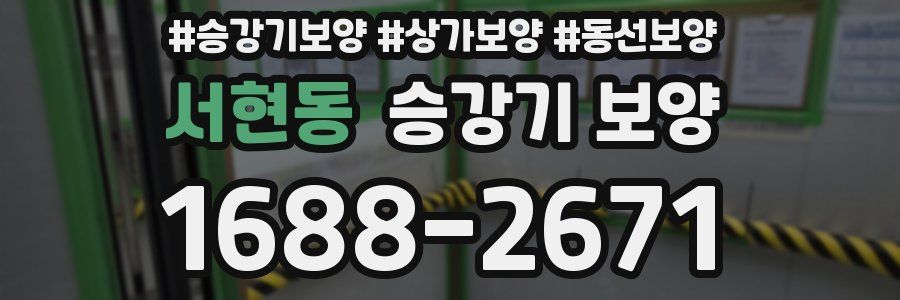 서현동 승강기 보양