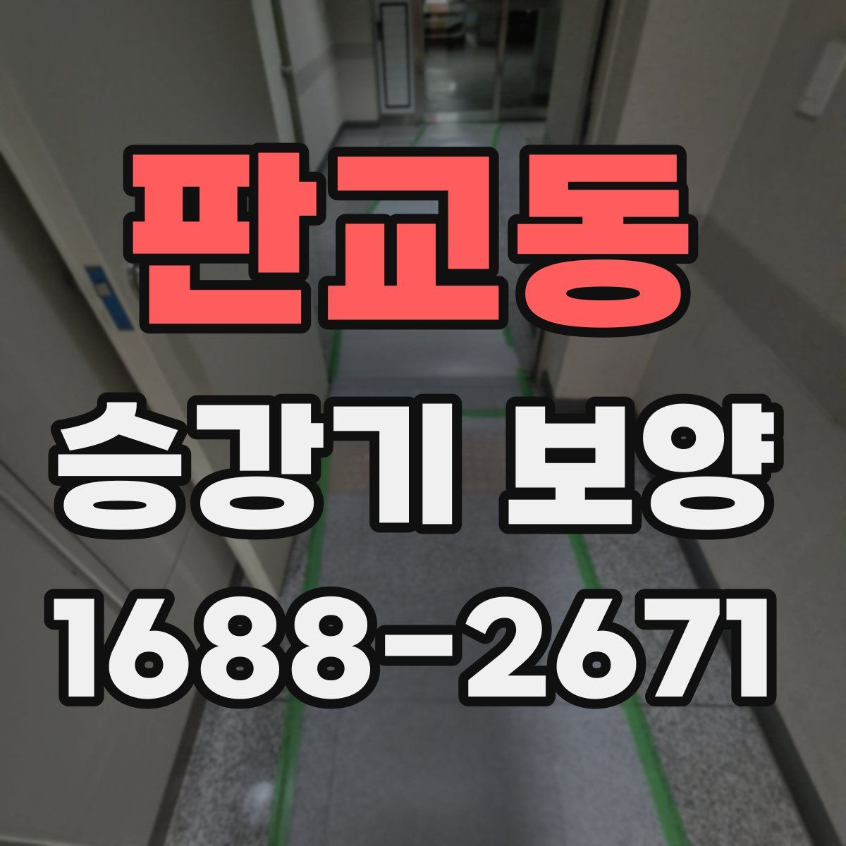 판교동 승강기 보양