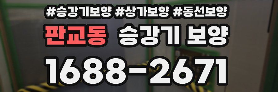판교동 승강기 보양