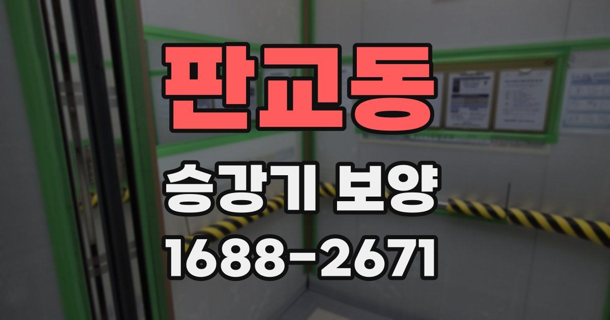 판교동 승강기 보양