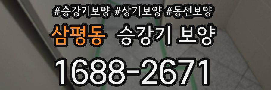삼평동 승강기 보양