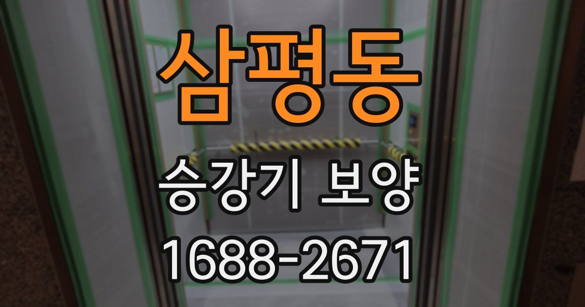 삼평동 승강기 보양