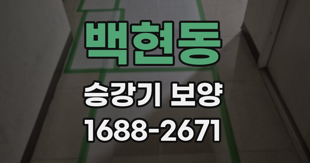 백현동 승강기 보양
