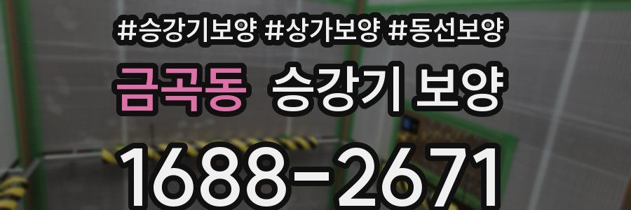 금곡동 승강기 보양