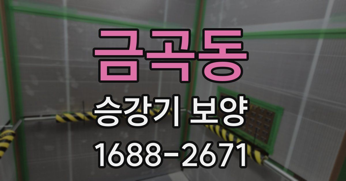 금곡동 승강기 보양