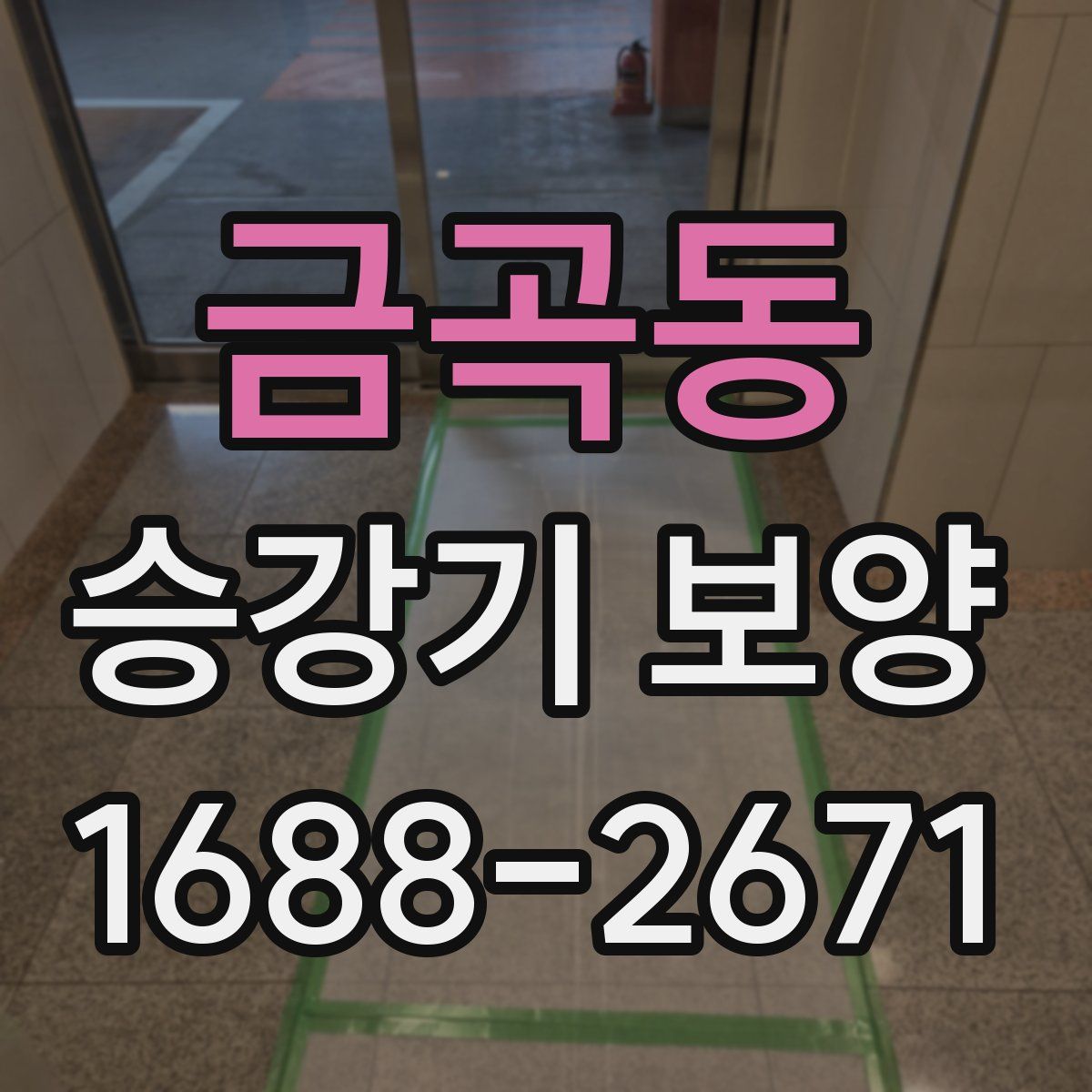 금곡동 승강기 보양