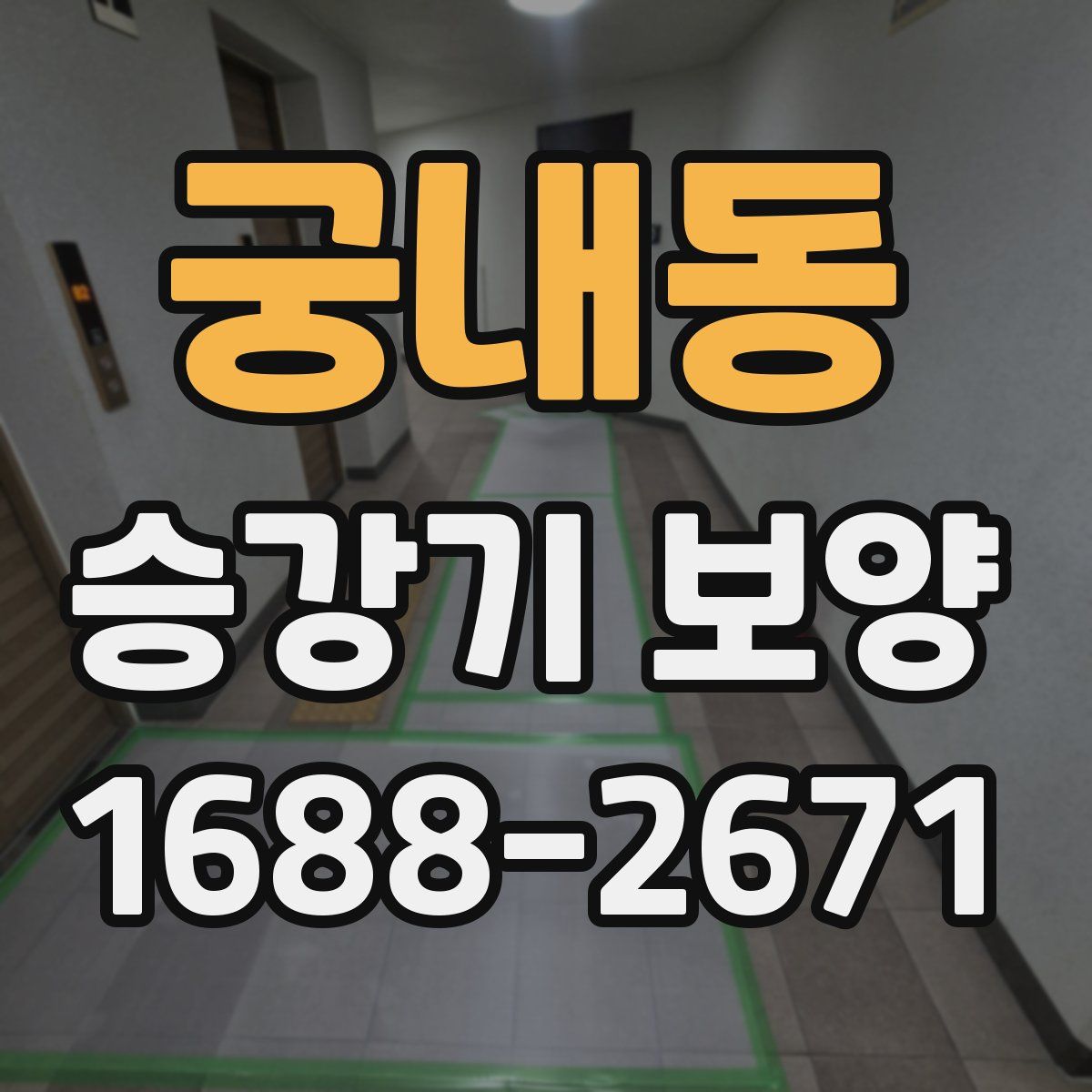 궁내동 승강기 보양