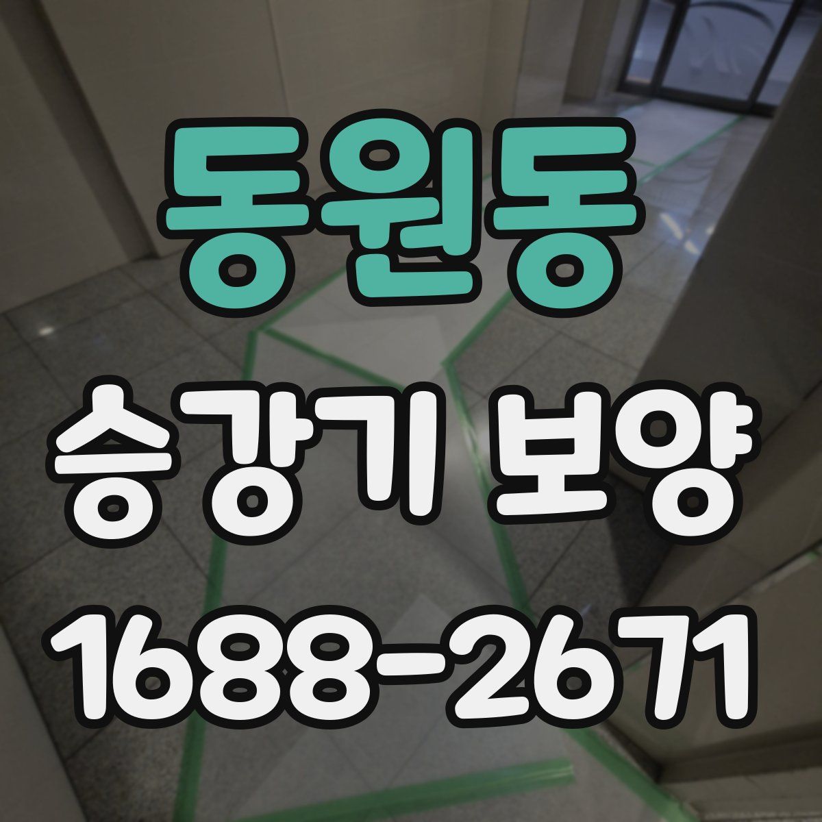동원동 승강기 보양