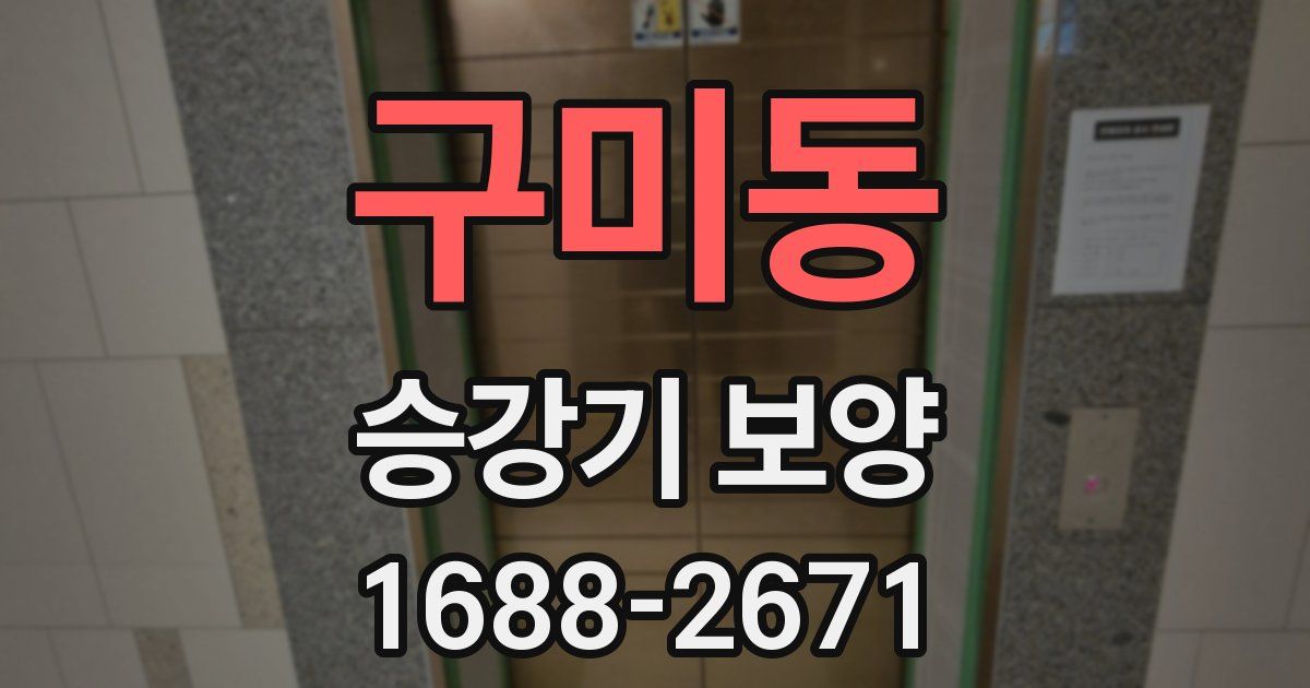 구미동 승강기 보양