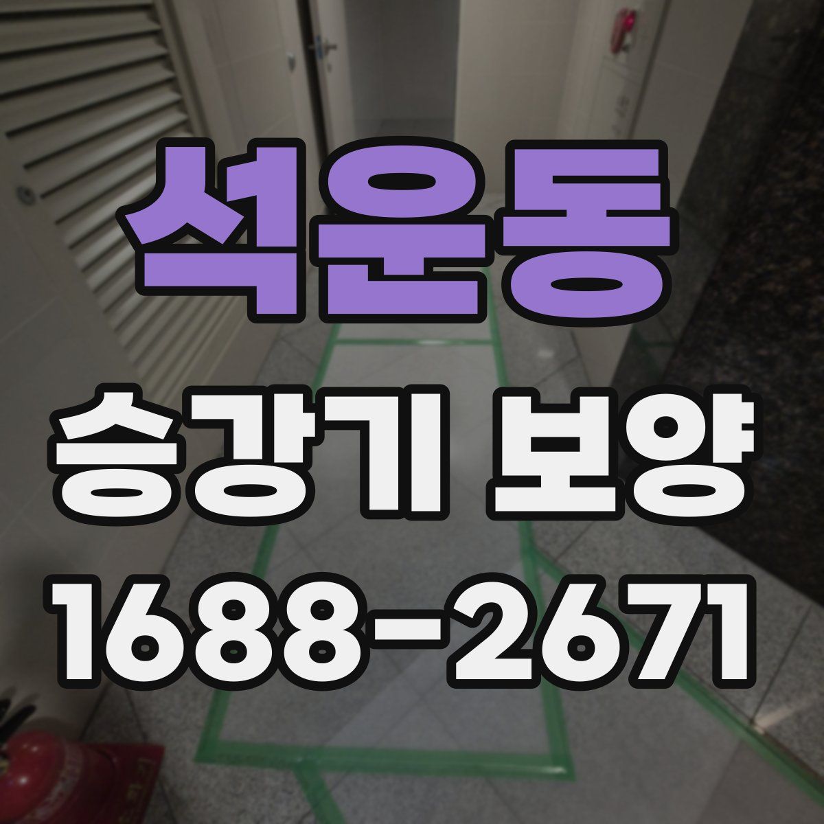 석운동 승강기 보양