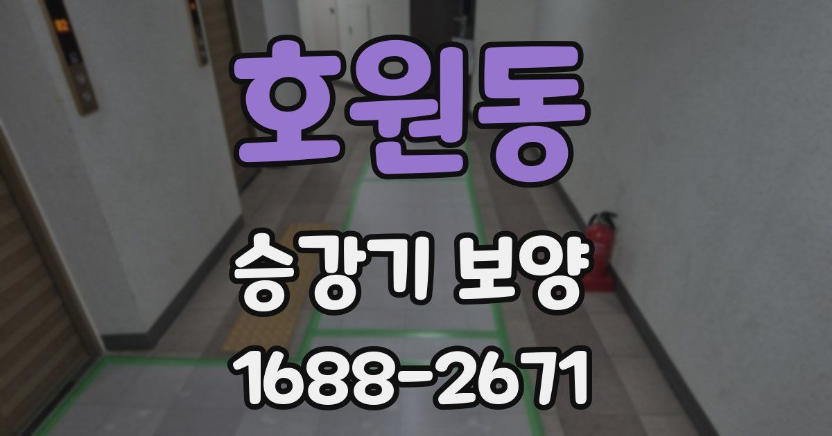 호원동 승강기 보양