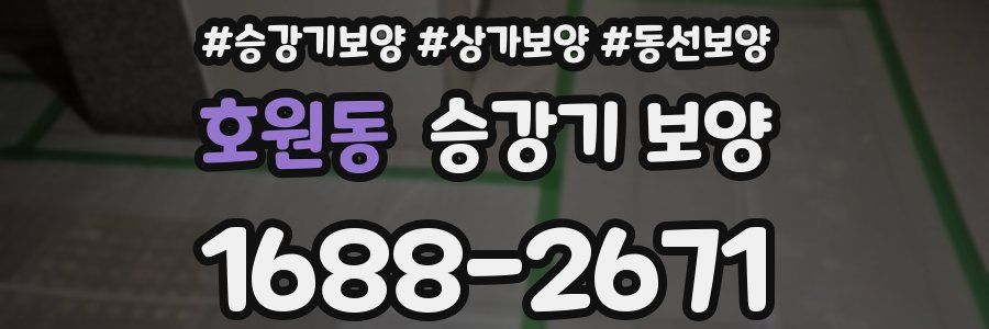 호원동 승강기 보양