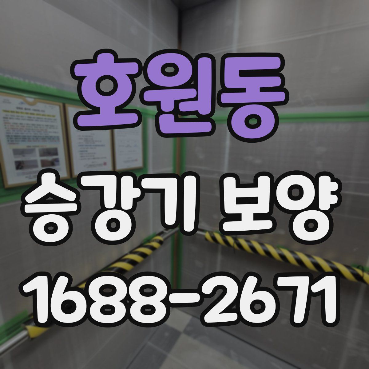 호원동 승강기 보양