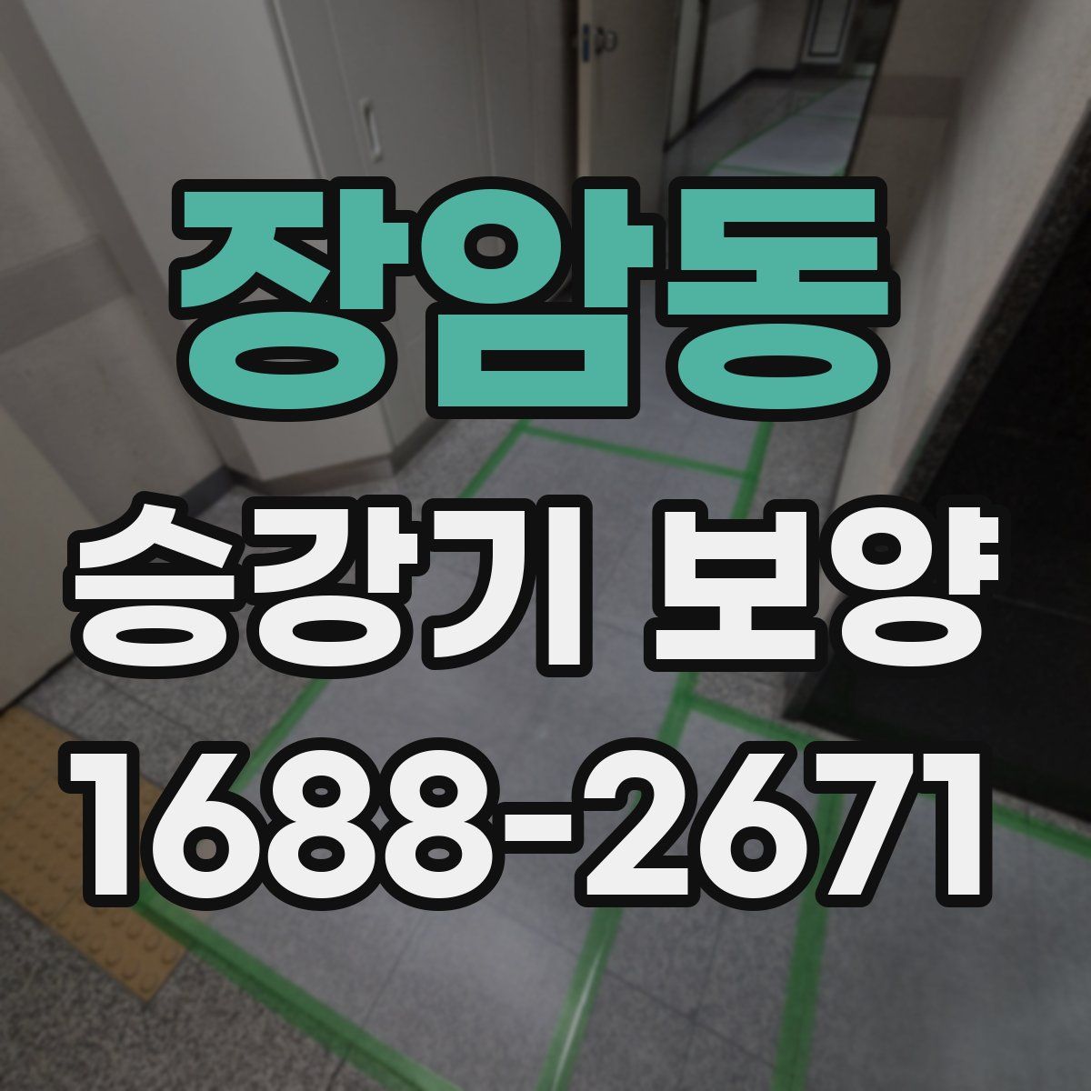 장암동 승강기 보양