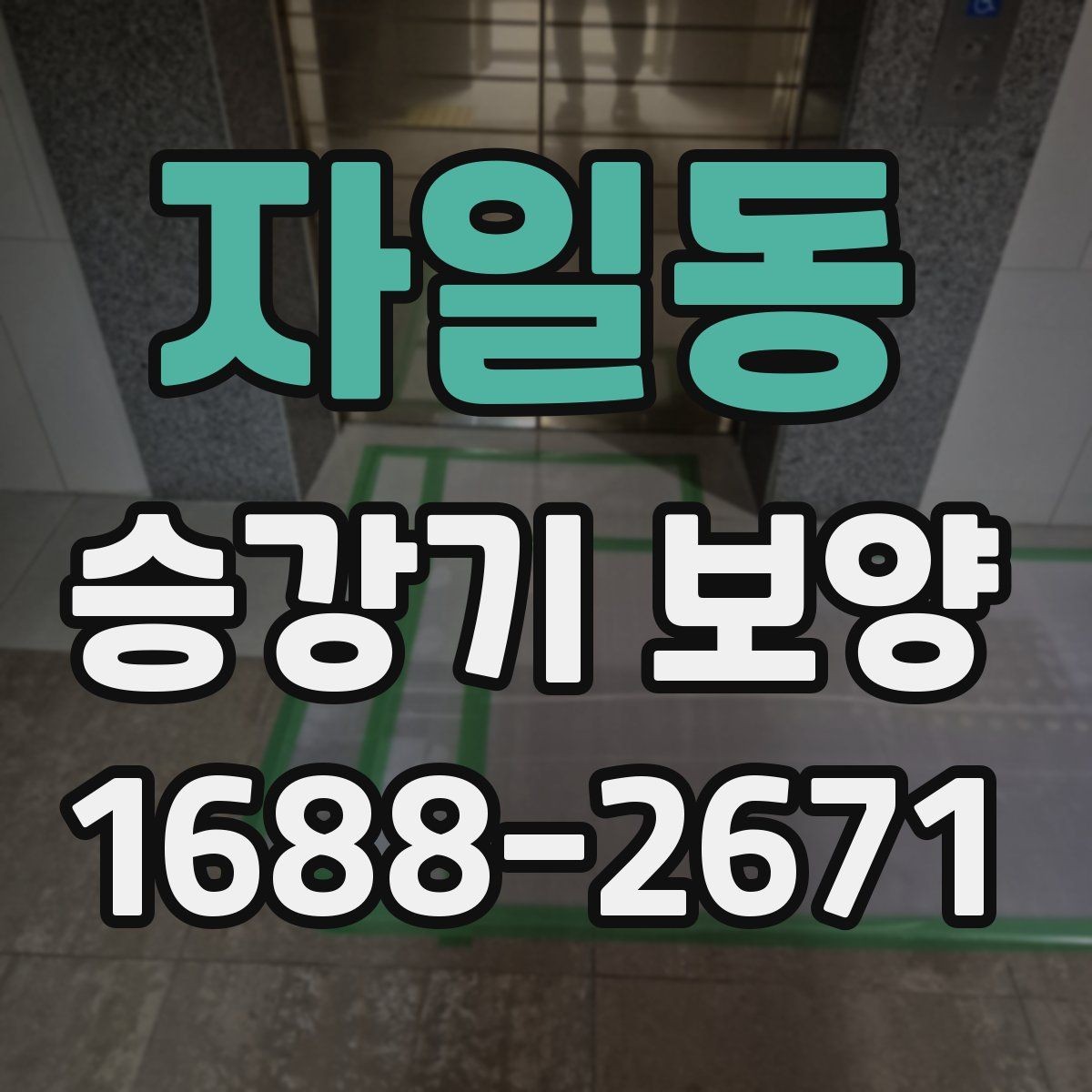 자일동 승강기 보양 후 손상 예방을 위한 관리법